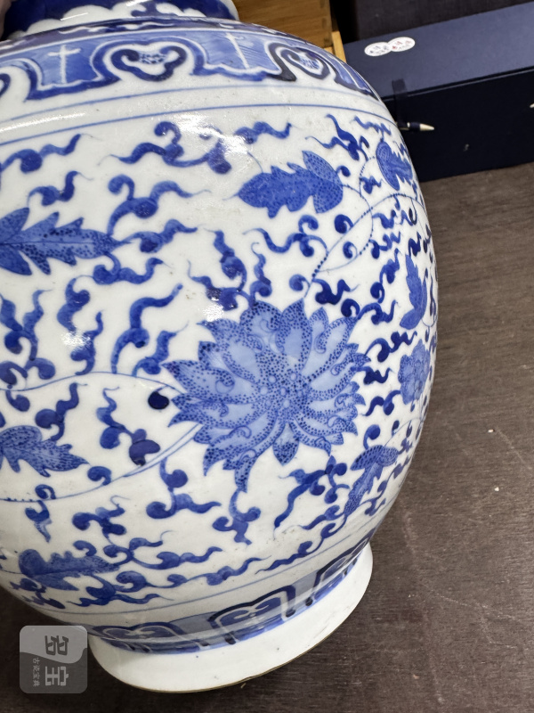 清 青花缠枝莲纹罐 - 图10